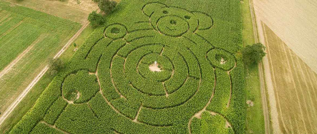 Stockvideo Luftbilder aus Deutschland