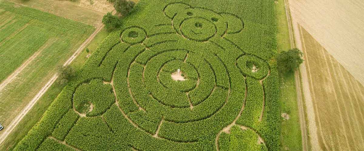 Luftbilder vom Maislabyrinth in Eutingen